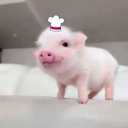Coid