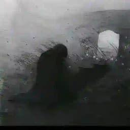 يـتـيـم الامـان 💔 Profile