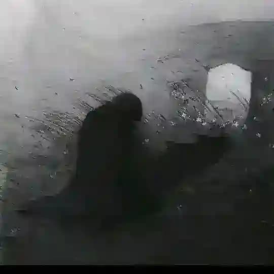 يـتـيـم الامـان 💔 Profile