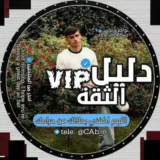 تعاملي | ريكس Rex