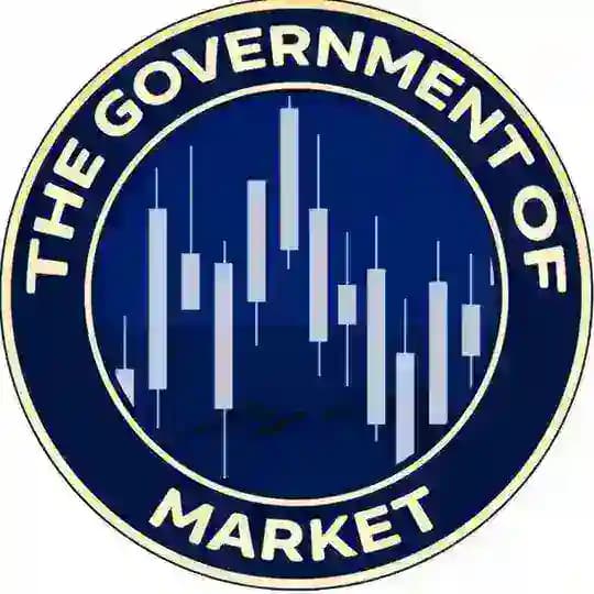 The Government Of Market