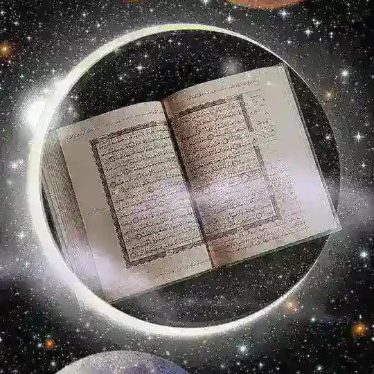 TAJVID KITOBLAR | Profile