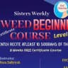(2025) Tajweed Beginners Course