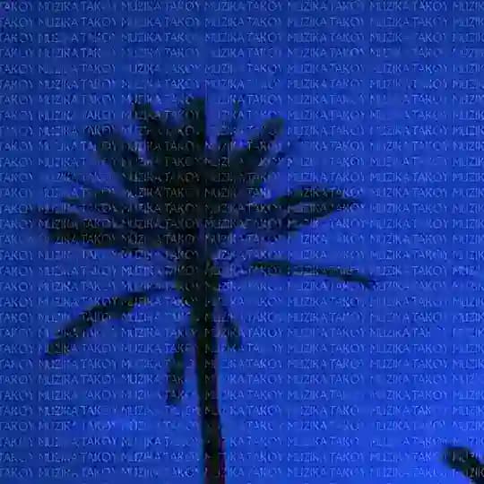 TAKOY | MUZIKAོ💨