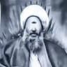 سیّدحسن تناسلی‌بادامکی