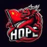 HOPE技术团队