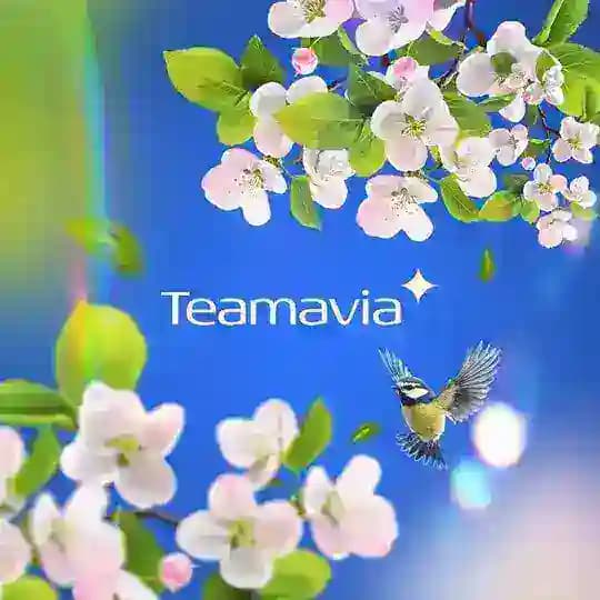 Team Avia Tour