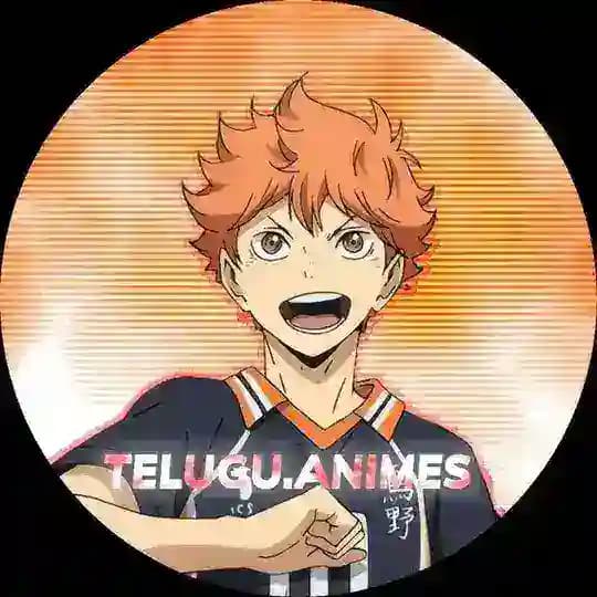 Telugu Animes Profile