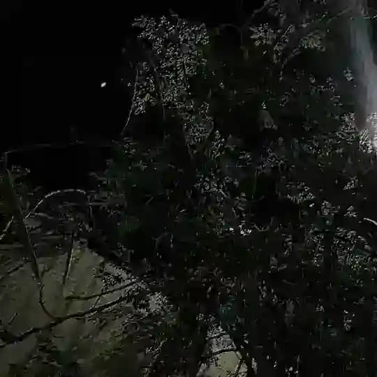 Темы для айфона