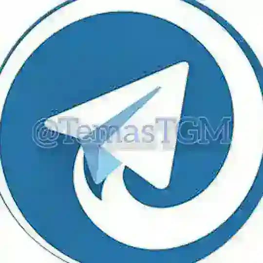 TEMAS TGM