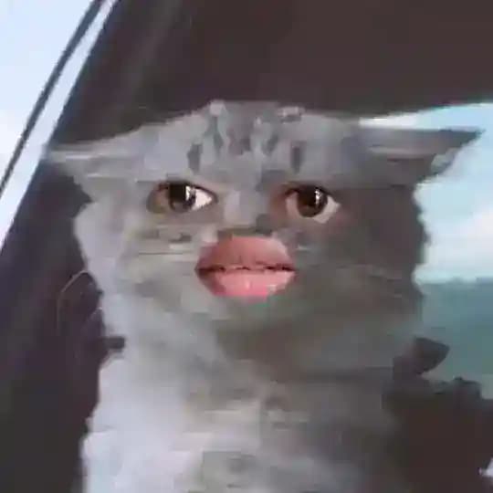 Billu.id.wala.2.0