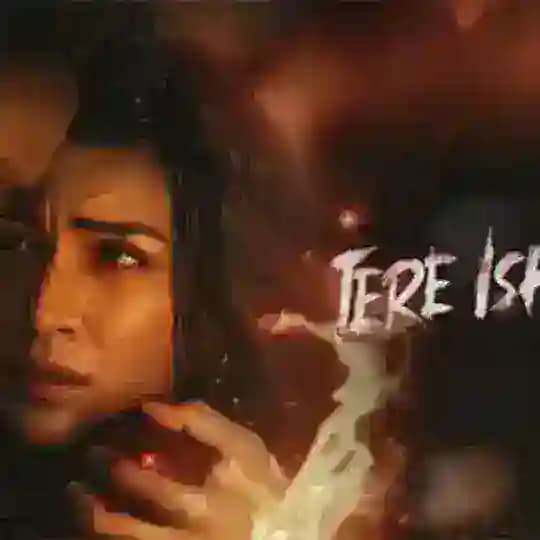 Tere Ishk Mein 2025 Hindi Tamil HQ HDTC Profile