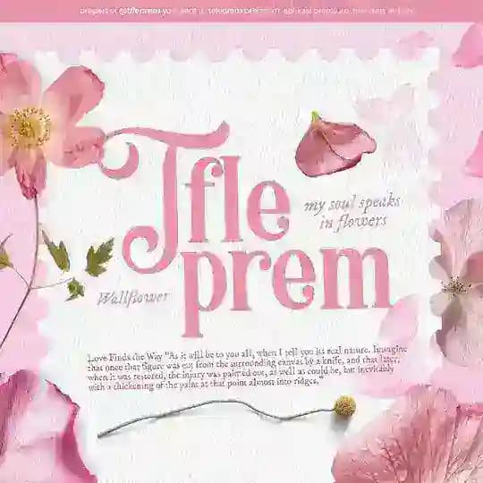 TFLEPREM : OPEN