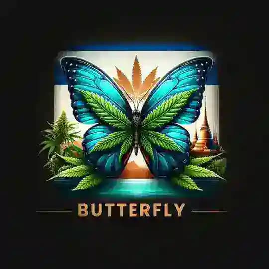 The Butterfly🦋