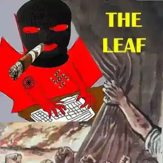 ⚡️⚡️Leaf Waffen⚡️⚡️