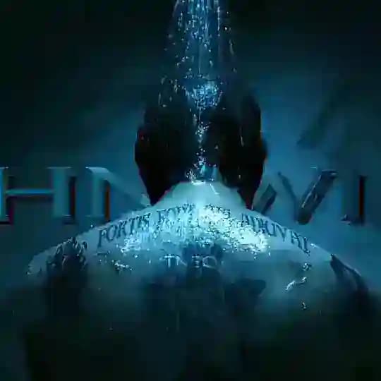 ╔ 𝗧𝗛𝗘 𝗣𝗜𝗥𝗢 𝗡𝗘𝗧𝗪𝗢𝗥𝗞 ™╗