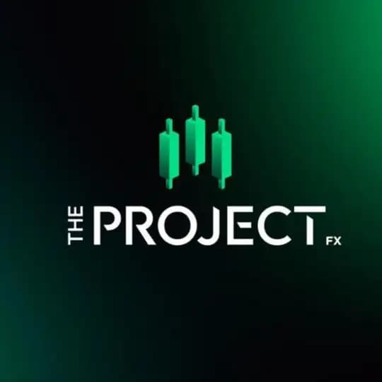 The Project Profile