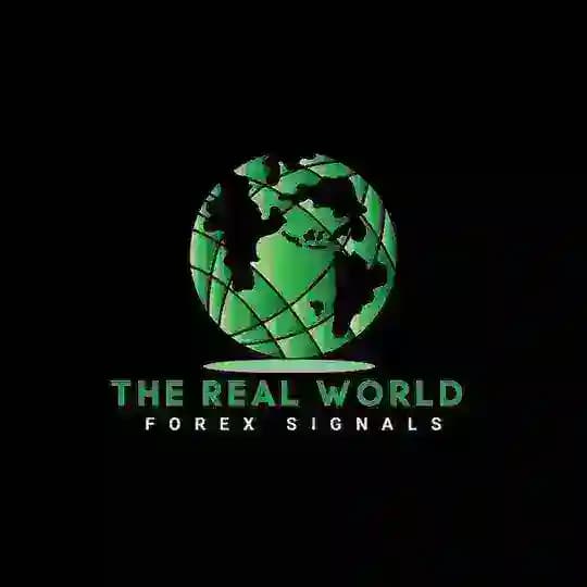 The Real World Forex Signals