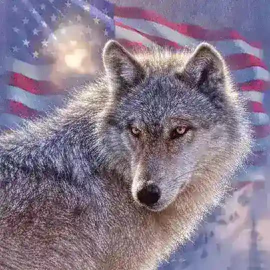 The Wolf Den