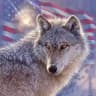 The Wolf Den