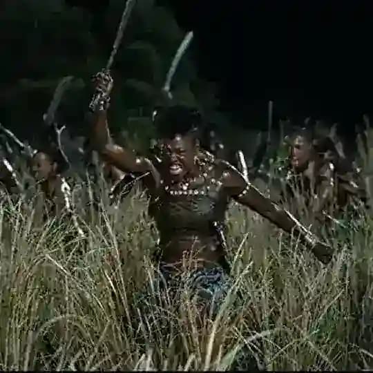 The Woman King (2022)