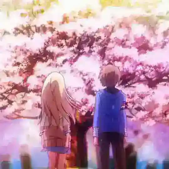 The pet girl of sakurasou