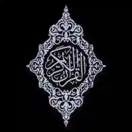 قناة تلاوه القرآن الكريم احاديث نبويه ادعية دينيه قصص الانبياء آيات من المصحف