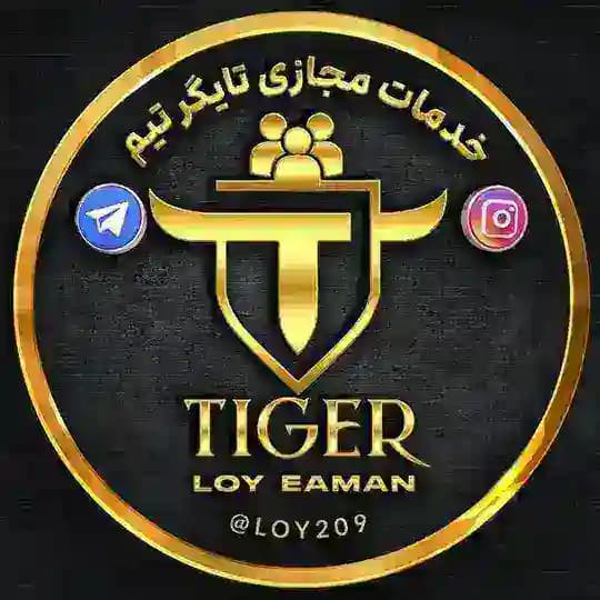 خدمات مجازی