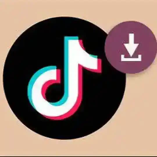 Tik-Tok Downloader