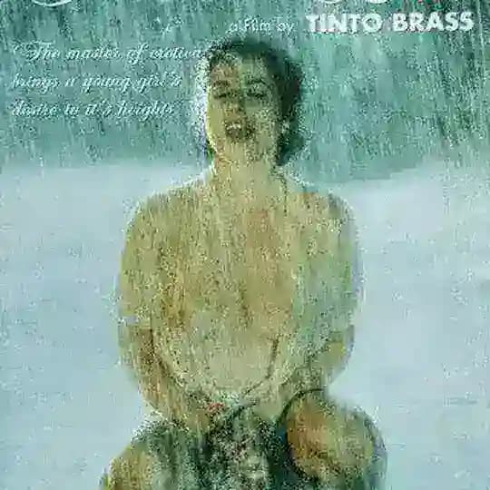 Tinto Brass