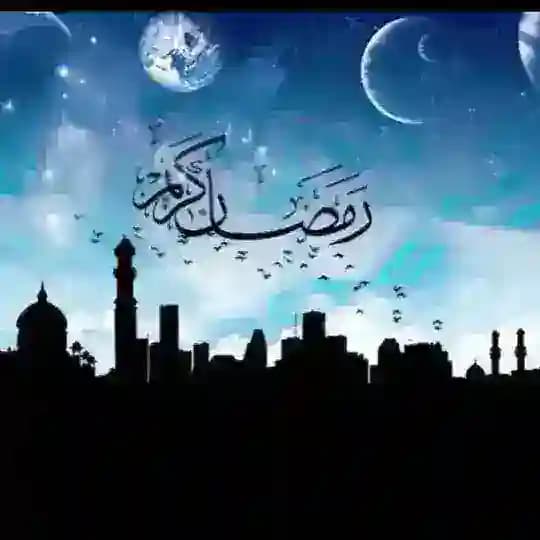 تیر پارک ترانزیت وحدت پیرانشهر