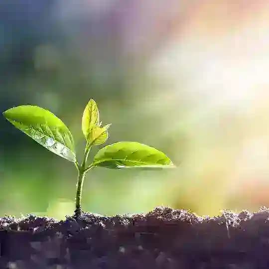 طلوعِ آموزش - دکتر حمید کربلائی حسنی