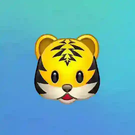 Video Link