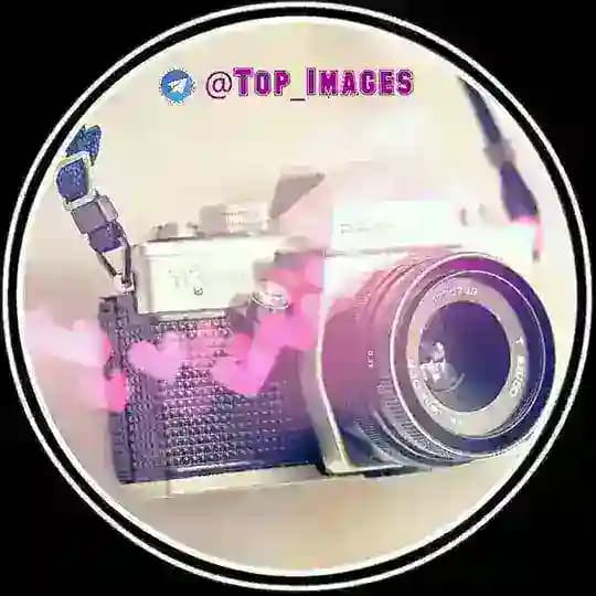 💯 ₸σp ᶤmαġзṣ ♬ ❀