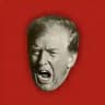Гамбіт Трампа