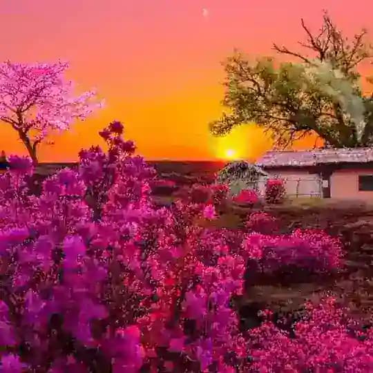 ចម្រៀងបុរាណ🎧🎤🎶