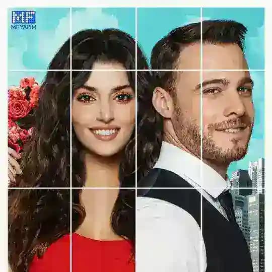 Turkish Drama Hindi Dubbed Profile