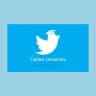 Twitter X ✸