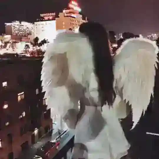 عالم شي ان 🛍️🤑✨