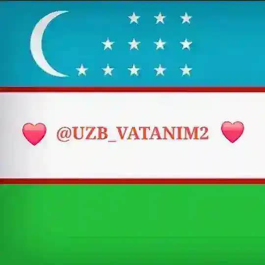 Test va Mantiqiy savollar Profile