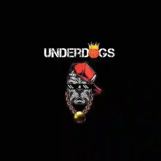 UNDERDOGS BASKET Profile