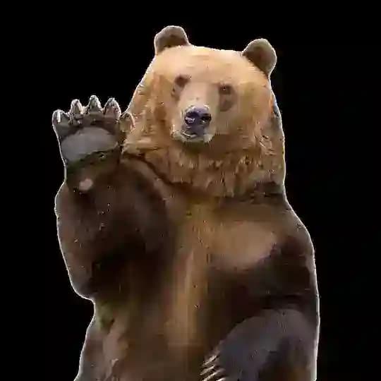 🐾UnerklärBär🐾 Profile