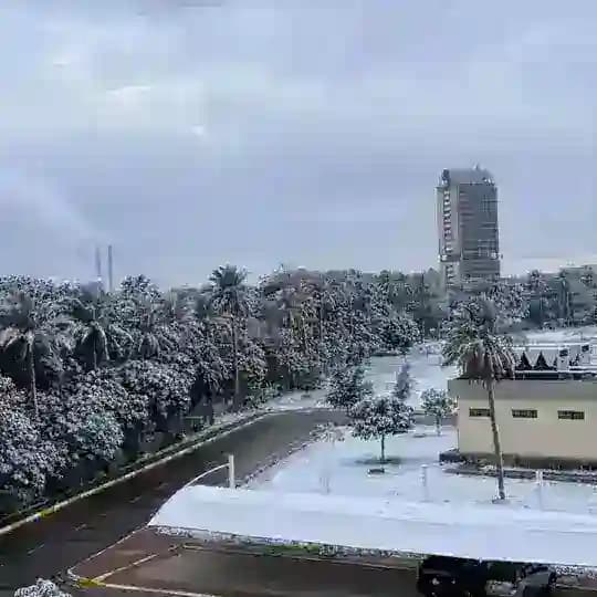 جامعة بغداد♥️😍 ( الجادرية)