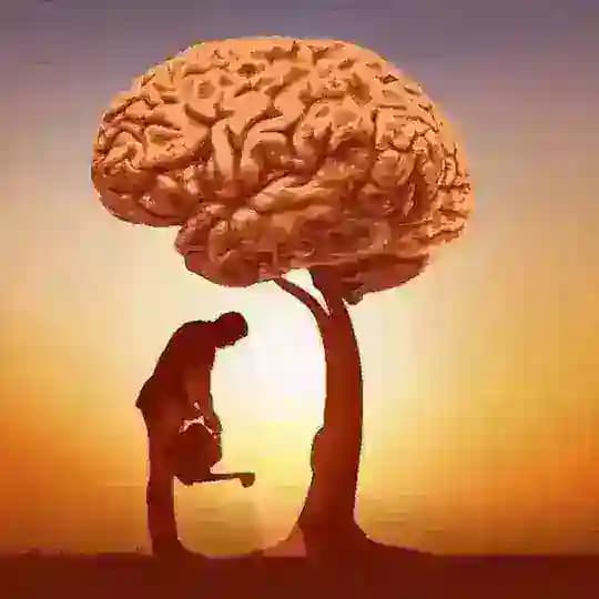 Learn Something New 🧠