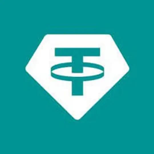 USDT Pay Link