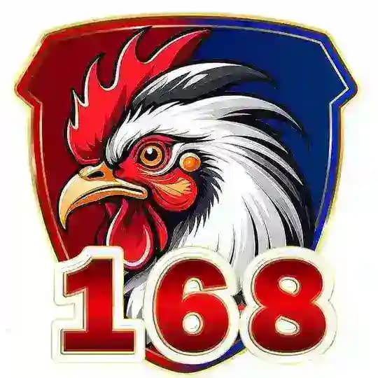 V168 VIP
