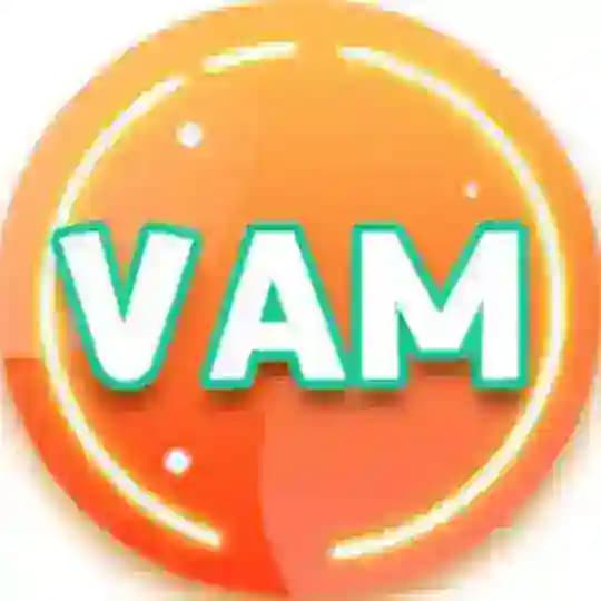 VAM丨国漫丨2D丨3D