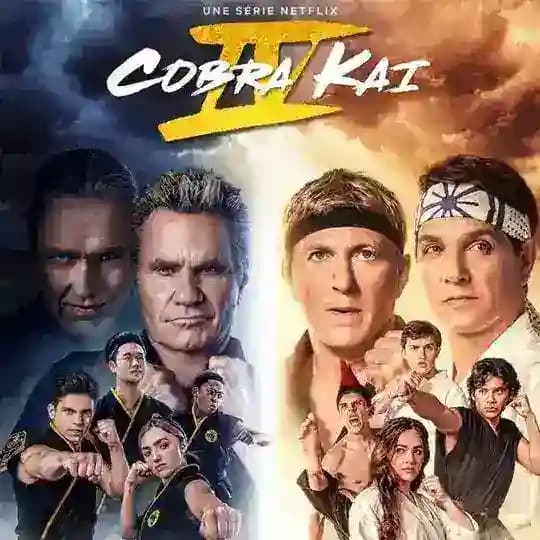 🇫🇷 COBRA KAI VF FRENCH SAISON 6 5 4 3 2 1 intégrale Profile