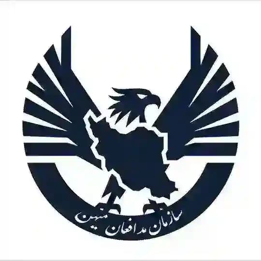 سازمان مدافعان میهن (HDF)