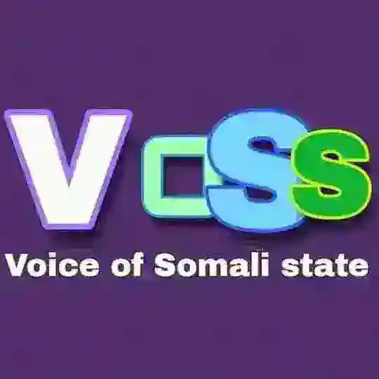 Voss Tv